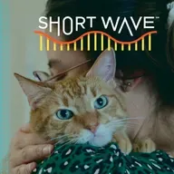 Orange Cat Lovers, Rise Up!