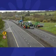 Environment: Should The Carbon Tax Be Scrapped?