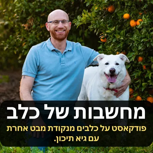 פרק 176 | אכילה מהרצפה בטיולים, חיפוש אוכל כפייתי ואכילה רגשית, סיבות ופתרונות.