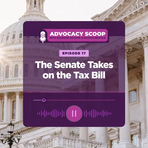 The Senate Takes on the Tax Bill