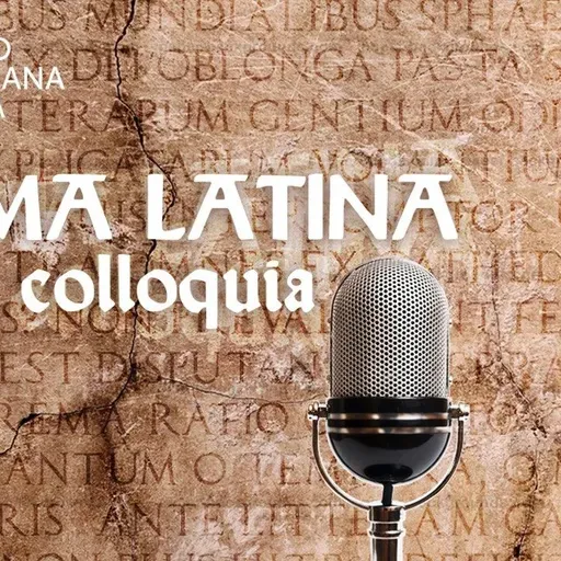Anima Latina - CCXIII - 14.12.2025