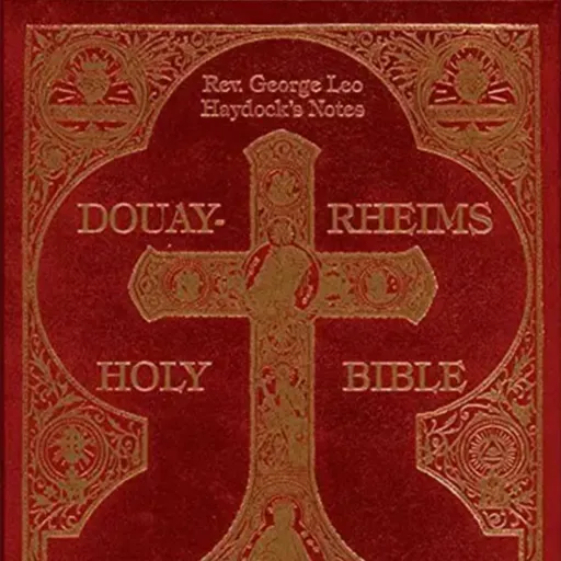 Commentary on the Daily Mass Readings: Wed, Oct 22