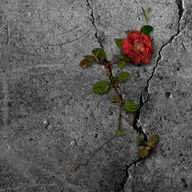 Special: Host Chiara und Protagonisten beim Podcast Event aus Ulm