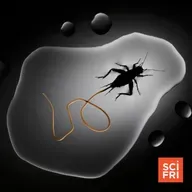 1118: A Photographer Captures Nature In Mind-Boggling Detail