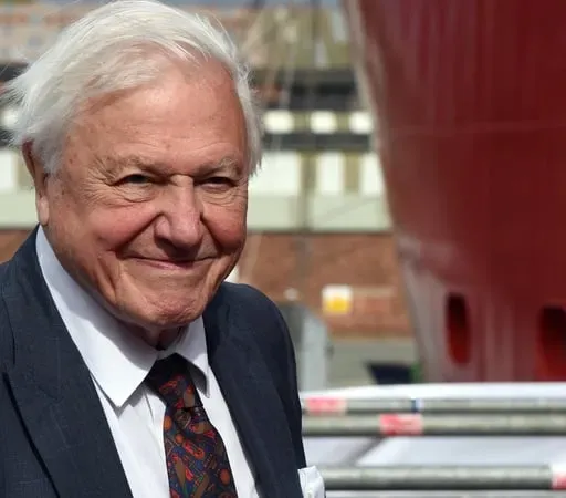 Beloved naturalist Attenborough celebrates 100th birthday