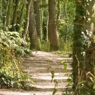 Aisling Ní Dhonnabháin, craoltóir.