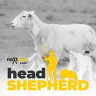 Lessons from moving sheep genetics around the world with Ian McDougall