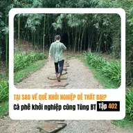 #402 Tại sao người ta hay về quê khởi nghiệp rồi thất bại?