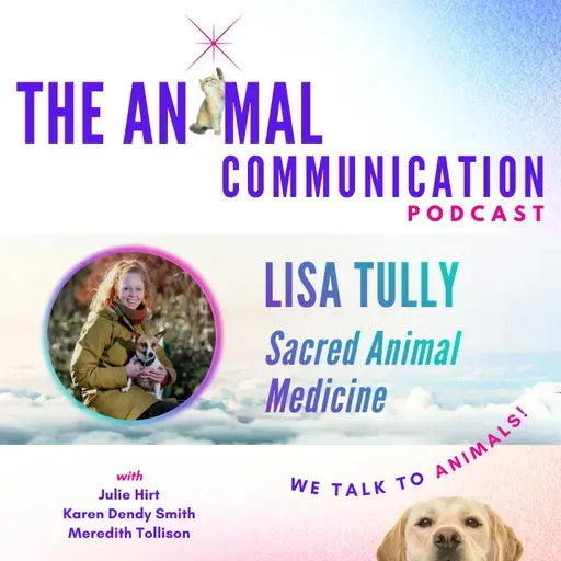 Lisa Tully - Sacred Animal Medicine
