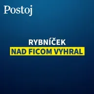 Ak to progresívci dajú bez Matoviča, pokloníme sa stratégom z PS (Debata v redakcii)