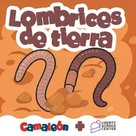 Lombrices de Tierra: Pegajosas y sorprendentes excavadoras
