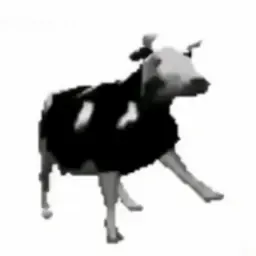 Polish Cow