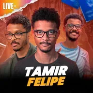 O Brasil precisa se INDUSTRIALIZAR? com @TamirFelipe ​