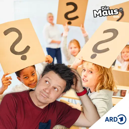 Fragen