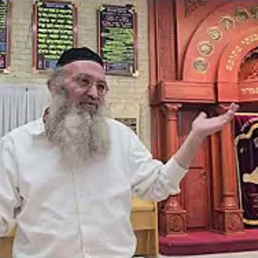 הרב מאיר כהן | הַיֵּצֶר אֶת הָאָדָם לַמִּצְווֹת מַלְהִיב כְּדֵי שֶׁבַּכַּעַס אֶת הָעוֹלָם תַּחֲרִיב!