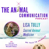 Lisa Tully - Sacred Animal Medicine