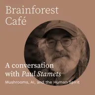 Mushrooms, AI, and the Human Spirit