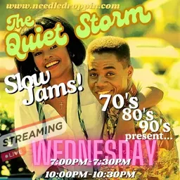 The Quiet Storm Hour www.needledroppin.com