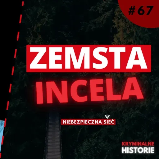 MĘŻCZYZNA, KTÓRY NIENAWIDZIŁ KOBIET. KIM BYŁ GEORGE SODINI? | NIEBEZPIECZNA SIEĆ #67