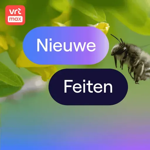 Sachembij floreert in onze steden