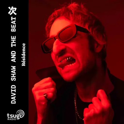 David Shaw And The Beat · Novembre 2025