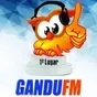 Rádio Gandu