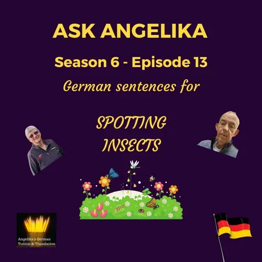 AA Season 6 Episode 13 - German sentences for spotting insects