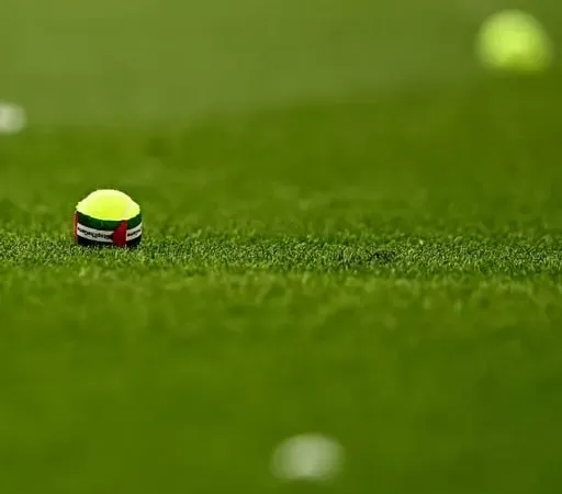 Tennis ball protests at Aviva Stadium over October Israel game