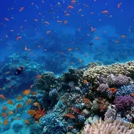 S8 Ep56: The economics of biodiversity