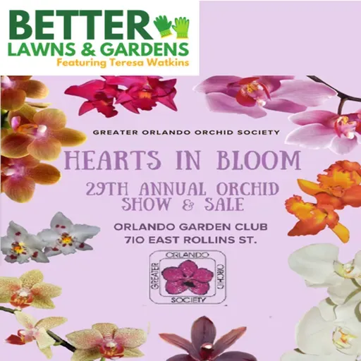 S2 Ep426: Better Lawns and Gardens - Hour 2 Hearts in Bloom Orlando Orchid Show Feb 7 2026