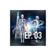 03 estructura y función humana