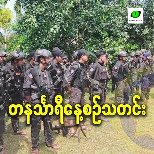နိုဝင်ဘာလ ၂၅ရက် တနင်္သာရီနေ့စဉ်သတင်း အစီအစဉ်