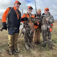 221: South Dakota Pheasants