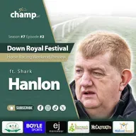 Ft. SHARK HANLON ⭐ DOWN ROYAL FESTIVAL & CHARLIE HALL PREVIEW   ✅ Weekend Horse Racing Tips 🏇