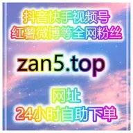 24小时刷量网站:怎样通过快手点赞和西瓜视频分享引爆销量?