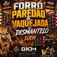 FORRÓ PAREDÃO & VAQUEJADA SÓ DESMANTELO DJCH