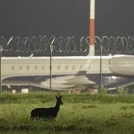 "Lielā Kristapa" programmu atklās ar Lailas Pakalniņas dokumentālo filmu “Putnubiedēkļi"