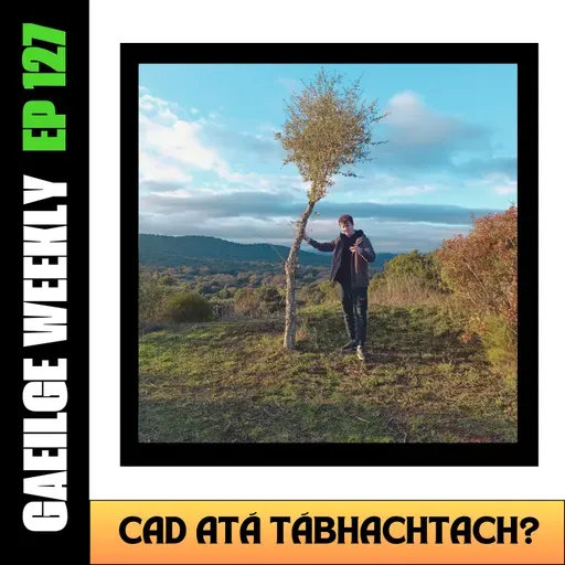 #127: Cad atá Tábhachtach? (NÍOS SIMPLÍ)
