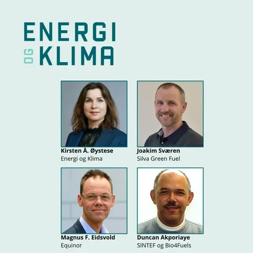 Norge skulle bli ledende på biodrivstoff – hva skjedde?