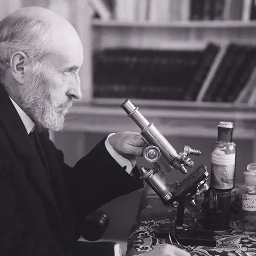La Cultureta 12x33: Un dibujante llamado Santiago Ramón y Cajal