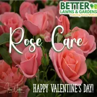 S2 Ep427: Better Lawns and Gardens - Hour 2 Rose Care February 14, 2026