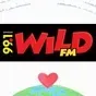 99.1 Wild FM - DXRT