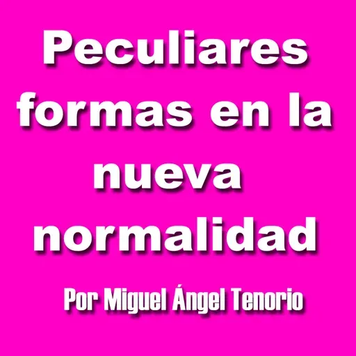 E13 - PECULIARES FORMAS EN LA NUEVA NORMALIDAD