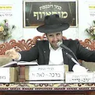 הרב מאיר אליהו | פרשת בהעלותך | מוסאיוף - ה׳תשפ״ו