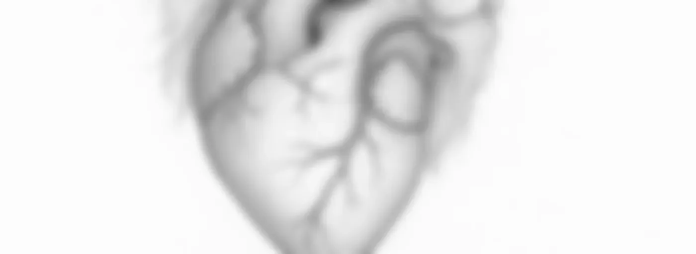 Corazón De Leon 🦁​❤️‍🔥​