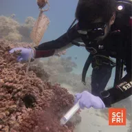 Can A Microbe Conservation Movement Take Off?