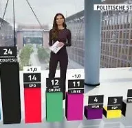 RTL/ntv-Trendbarometer: Schwacher Merz punktet leicht - aber AfD bleibt vorn