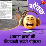 छत्तीसगढ़: अजब-गजब सरकारी आदेश, प्रोफेसर आवारा कुत्तों की निगरानी करेंगे | भौंचक