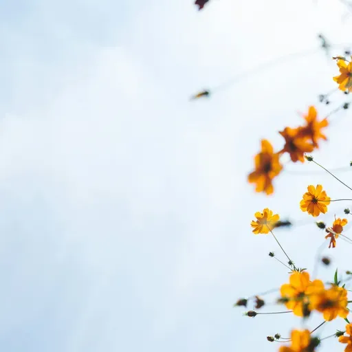 Oddaj pokłon Zmartwychwstałemu