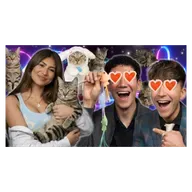 The COOLEST cat in the WORLD!